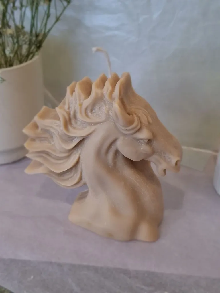 [tete de cheval] tete de cheval